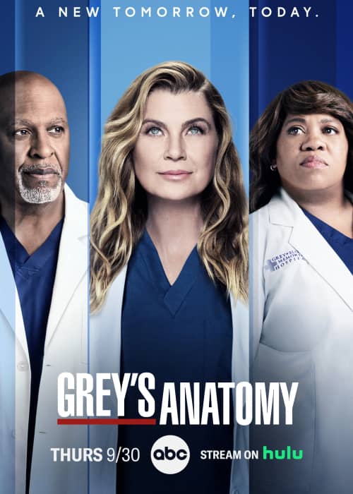 Анатомия страсти 21 сезон